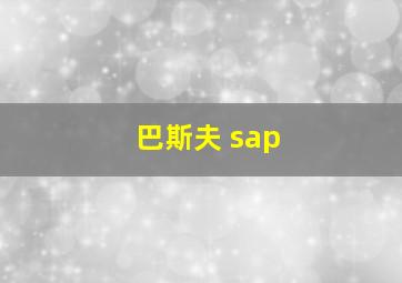 巴斯夫 sap